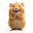 generalow